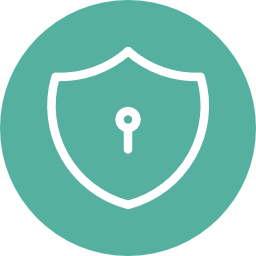 Digital Safety Pro Logo